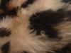 <img100*0:stuff/z/169023/Textures%252026/i1259627826_22.jpg>