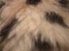 <img100*0:stuff/z/169023/Textures%252026/i1259627826_23.jpg>