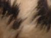 <img100*0:stuff/z/169023/Textures%252026/i1259627826_25.jpg>