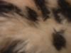 <img100*0:stuff/z/169023/Textures%252026/i1259627826_26.jpg>
