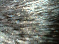 <img250*0:stuff/z/169023/Textures/i1255993043_1.jpg>