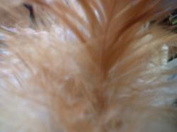<img250*0:stuff/z/169023/Textures/i1255993043_2.jpg>