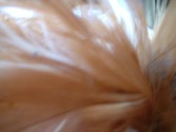 <img250*0:stuff/z/169023/Textures/i1255993043_3.jpg>