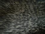 <img150*0:stuff/z/169023/Textures40/i1258667306_11.jpg>