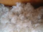 <img150*0:stuff/z/169023/Textures40/i1258667306_12.jpg>