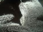 <img150*0:stuff/z/169023/Textures40/i1258667307_16.jpg>