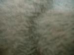 <img150*0:stuff/z/169023/Textures40/i1258667307_21.jpg>