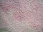 <img150*0:stuff/z/169023/Textures40/i1258667307_22.jpg>