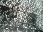 <img150*0:stuff/z/169023/Textures40/i1258667307_23.jpg>