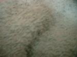 <img150*0:stuff/z/169023/Textures40/i1258667308_27.jpg>