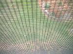 <img150*0:stuff/z/169023/Textures40/i1258667308_30.jpg>