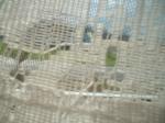<img150*0:stuff/z/169023/Textures40/i1258667309_39.jpg>