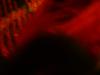 <img100*0:stuff/z/169023/The%2520Ultimate%2520Cloth%2520Reference%2520Collection/i1259862232_10.jpg>