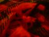 <img100*0:stuff/z/169023/The%2520Ultimate%2520Cloth%2520Reference%2520Collection/i1259862232_16.jpg>