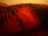 <img100*0:stuff/z/169023/The%2520Ultimate%2520Cloth%2520Reference%2520Collection/i1259862232_18.jpg>