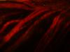 <img100*0:stuff/z/169023/The%2520Ultimate%2520Cloth%2520Reference%2520Collection/i1259862232_8.jpg>