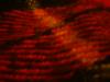 <img100*0:stuff/z/169023/The%2520Ultimate%2520Cloth%2520Reference%2520Collection/i1259862233_23.jpg>