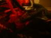 <img100*0:stuff/z/169023/The%2520Ultimate%2520Cloth%2520Reference%2520Collection/i1259862233_25.jpg>
