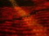 <img100*0:stuff/z/169023/The%2520Ultimate%2520Cloth%2520Reference%2520Collection/i1259862233_29.jpg>