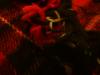 <img100*0:stuff/z/169023/The%2520Ultimate%2520Cloth%2520Reference%2520Collection/i1259862233_31.jpg>