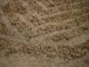 <img100*0:stuff/z/169023/The%2520Ultimate%2520Texture%2520Reference%2520Collection/i1259883571_8.jpg>