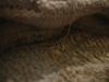 <img100*0:stuff/z/169023/The%2520Ultimate%2520Texture%2520Reference%2520Collection/i1259883571_9.jpg>