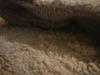 <img100*0:stuff/z/169023/The%2520Ultimate%2520Texture%2520Reference%2520Collection/i1259883572_13.jpg>