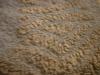 <img100*0:stuff/z/169023/The%2520Ultimate%2520Texture%2520Reference%2520Collection/i1259883572_15.jpg>
