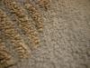 <img100*0:stuff/z/169023/The%2520Ultimate%2520Texture%2520Reference%2520Collection/i1259883572_21.jpg>
