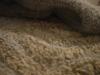 <img100*0:stuff/z/169023/The%2520Ultimate%2520Texture%2520Reference%2520Collection/i1259883573_25.jpg>