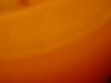 <img100*0:stuff/z/169023/The%2520Ultimate%2520Texture%2520Reference%2520Collection/i1259884614_11.jpg>