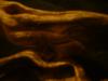 <img100*0:stuff/z/169023/The%2520Ultimate%2520Texture%2520Reference%2520Collection/i1259884614_12.jpg>