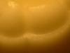 <img100*0:stuff/z/169023/The%2520Ultimate%2520Texture%2520Reference%2520Collection/i1259884614_15.jpg>