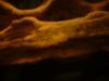 <img100*0:stuff/z/169023/The%2520Ultimate%2520Texture%2520Reference%2520Collection/i1259884614_17.jpg>