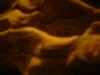 <img100*0:stuff/z/169023/The%2520Ultimate%2520Texture%2520Reference%2520Collection/i1259884615_23.jpg>