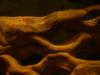 <img100*0:stuff/z/169023/The%2520Ultimate%2520Texture%2520Reference%2520Collection/i1259884615_29.jpg>