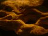 <img100*0:stuff/z/169023/The%2520Ultimate%2520Texture%2520Reference%2520Collection/i1259884615_35.jpg>