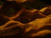 <img100*0:stuff/z/169023/The%2520Ultimate%2520Texture%2520Reference%2520Collection/i1259884616_41.jpg>