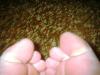 <img100*0:stuff/z/169023/Toes%252018/i1259627002_11.jpg>