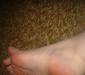 <img85*0:stuff/z/169023/Toes%252018/i1259627002_6.jpg>