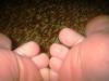<img100*0:stuff/z/169023/Toes%252018/i1259627003_13.jpg>