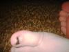 <img100*0:stuff/z/169023/Toes%252018/i1259627003_15.jpg>