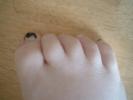 Phoenix Feet