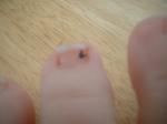 <img150*0:stuff/z/169023/Toes/i1258575900_17.jpg>