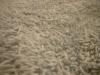<img100*0:stuff/z/169023/Towel%252021/i1259800101_1.jpg>