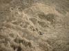 <img100*0:stuff/z/169023/Towel%252021/i1259800101_10.jpg>