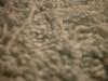 <img100*0:stuff/z/169023/Towel%252021/i1259800101_14.jpg>