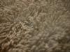 <img100*0:stuff/z/169023/Towel%252021/i1259800101_15.jpg>