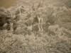 <img100*0:stuff/z/169023/Towel%252021/i1259800101_16.jpg>