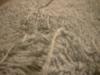 <img100*0:stuff/z/169023/Towel%252021/i1259800101_17.jpg>